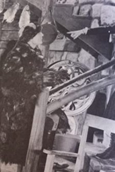 30 Below Zero (1926) afişi