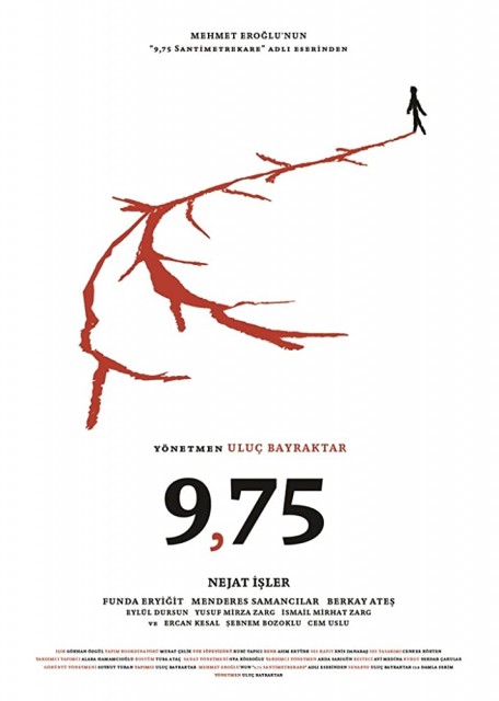 9,75 Santimetrekare (2021) afişi