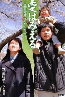 Ai Wa Mieru (2010) afişi