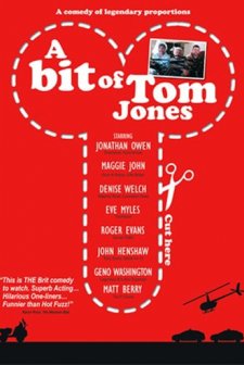 A Bit Of Tom Jones? (2009) afişi