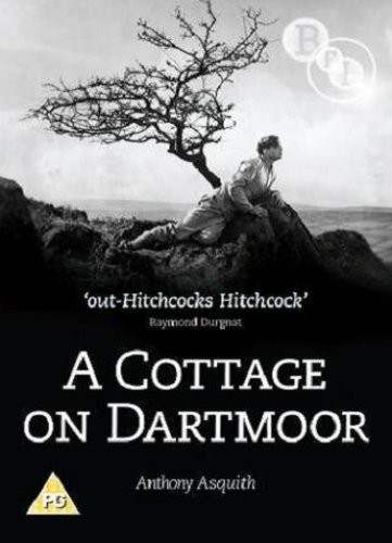 A Cottage on Dartmoor (1929) afişi A Cottage on Dartmoor (1929) afişi