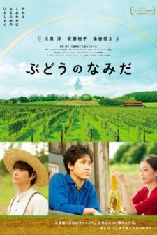 A Drop of the Grapevine (2014) afişi