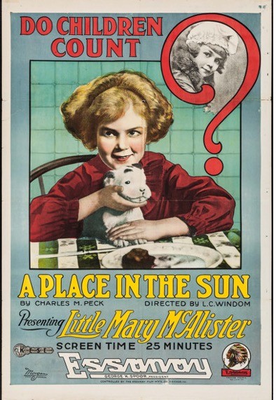 A Place in the Sun (1917) afişi A Place in the Sun (1917) afişi
