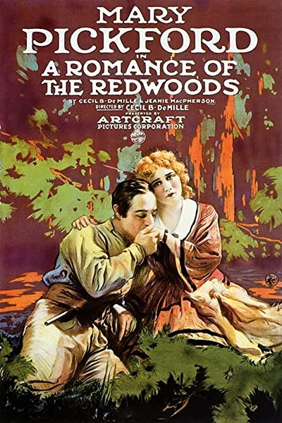 A Romance of the Redwoods (1917) afişi A Romance of the Redwoods (1917) afişi
