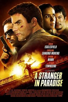 A Stranger in Paradise (2013) afişi