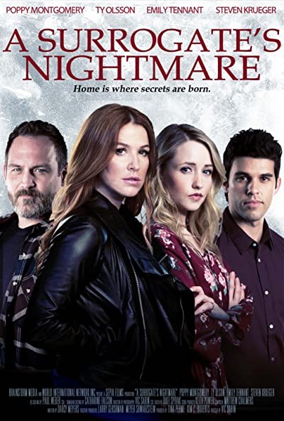 A Surrogate's Nightmare (2017) afişi A Surrogate's Nightmare (2017) afişi