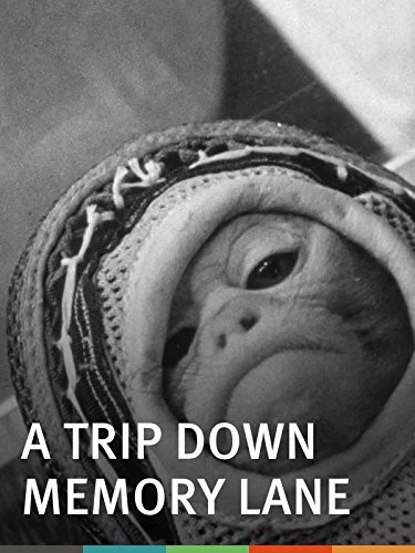 A Trip Down Memory Lane (1965) afişi A Trip Down Memory Lane (1965) afişi