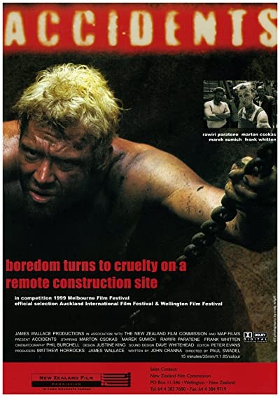 Accidents (2000) afişi Accidents (2000) afişi
