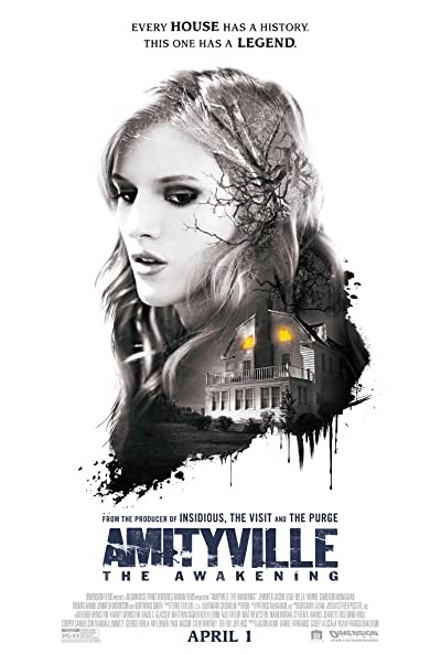 Amityville: The Reawakening (2017) afişi Amityville: The Reawakening (2017) afişi
