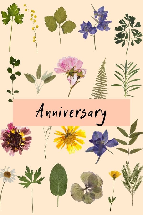 Anniversary (2025) afişi