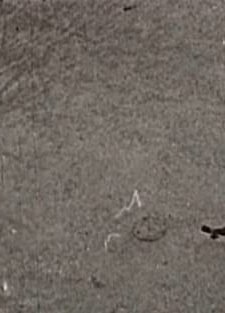 Antonijevo Razbijeno Ogledalo (1957) afişi