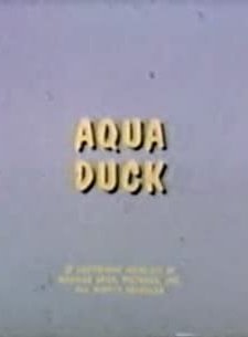 Aqua Duck