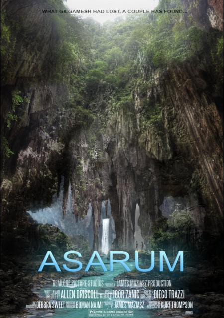 Asarum  (2018) afişi Asarum  (2018) afişi