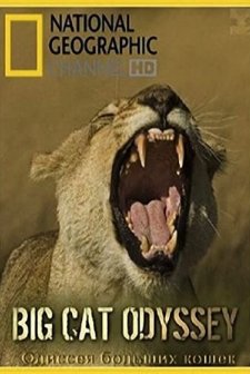 Aslanların Destanı