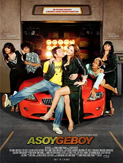 Asoy Geboy (2008) afişi Asoy Geboy (2008) afişi