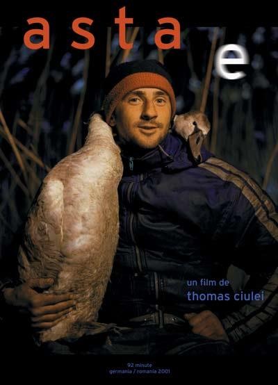 Asta E (2001) afişi Asta E (2001) afişi