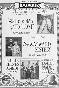 At The Doors Of Doom (1916) afişi