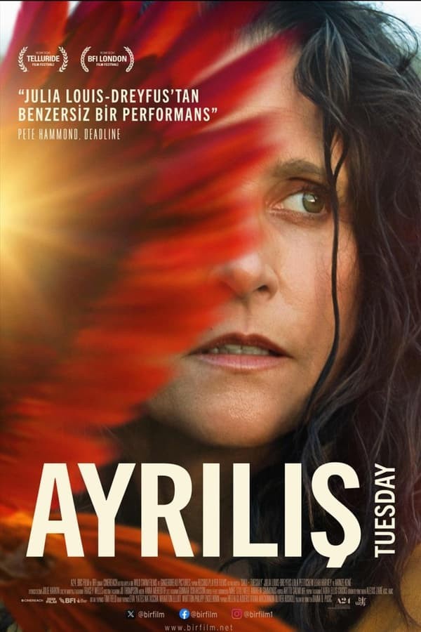 Ayrılış (2023) afişi Ayrılış (2023) afişi