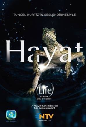 Bbc Hayat - Balık (2009) afişi Bbc Hayat - Balık (2009) afişi