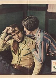 Beauty And Bullets (1928) afişi