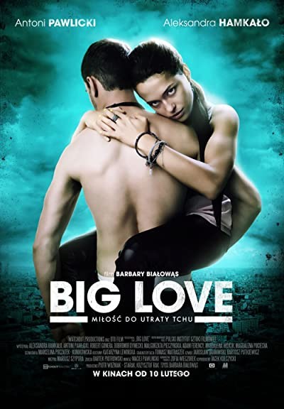 Big Love (2012) afişi Big Love (2012) afişi