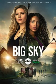 Big Sky (2020) afişi