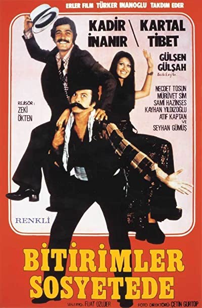 Bitirimler Sosyetede (1973) afişi
