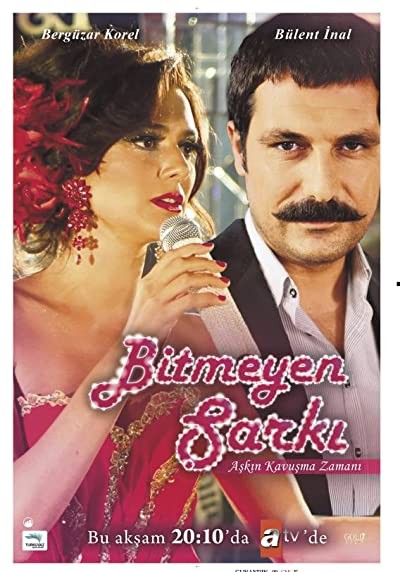 Bitmeyen Şarkı (2010) afişi Bitmeyen Şarkı (2010) afişi