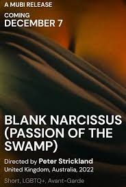Blank Narcissus (2022) afişi Blank Narcissus (2022) afişi