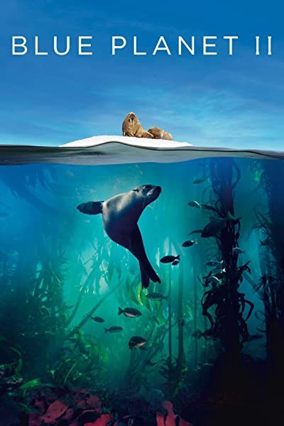 Blue Planet 2 (2017) afişi Blue Planet 2 (2017) afişi