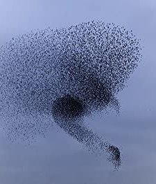 Boy Meets Girl Stories #28: Alleen (2004) afişi