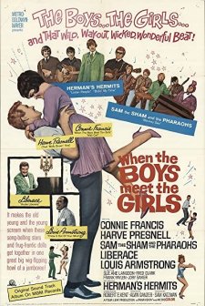 Boys Meet The Girls (1965) afişi