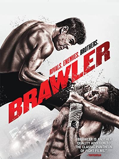Brawler (2011) afişi Brawler (2011) afişi