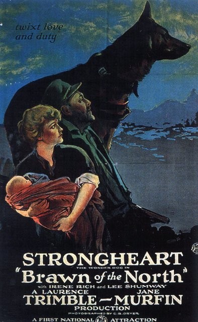 Brawn Of The North (1922) afişi Brawn Of The North (1922) afişi