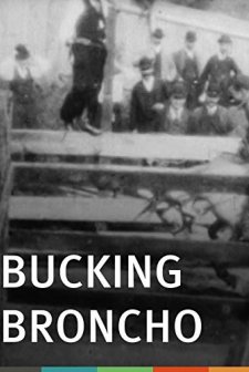 Bucking Broncho (1894) afişi