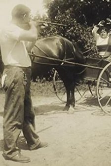 Bunny Backslides (1914) afişi