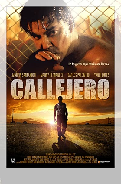 Callejero (2015) afişi Callejero (2015) afişi