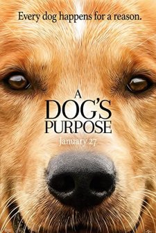 Can Dostum (2017) afişi