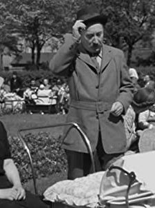 Capkovy Povidky (1947) afişi