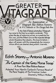 Captain Of The Gray Horse Troop (1917) afişi