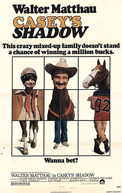 Casey's Shadow (1978) afişi Casey's Shadow (1978) afişi
