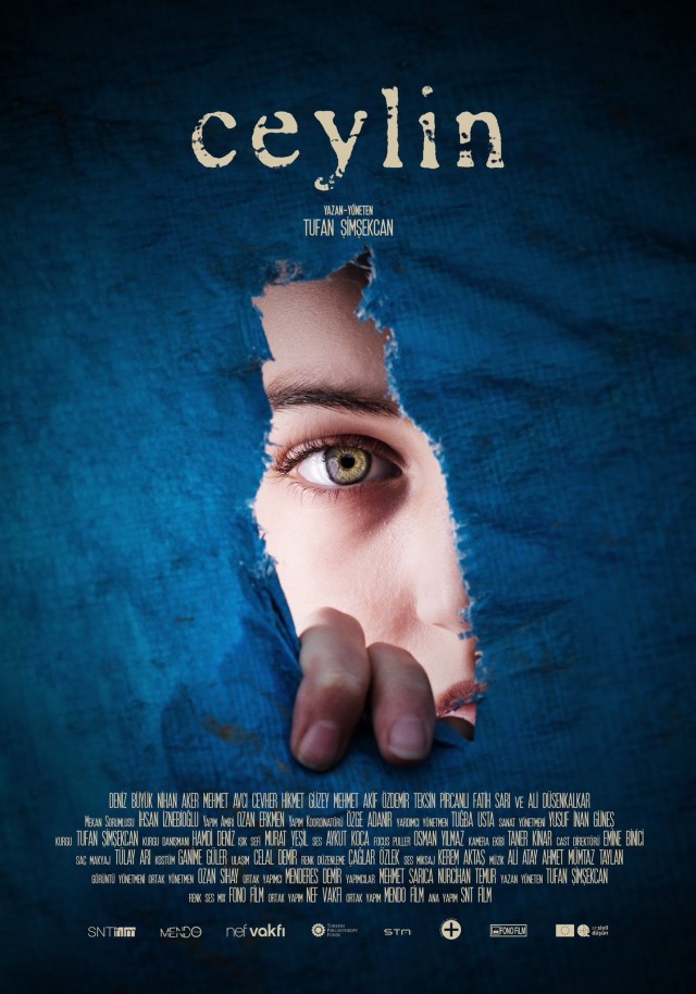 Ceylin (2022) afişi
