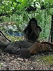 Chasing The Wind (1998) afişi