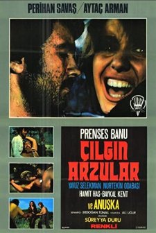Çılgın Arzular (1974) afişi