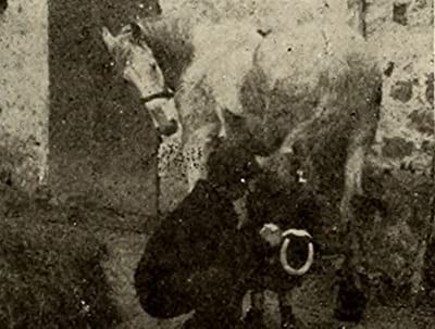 Clever Beyond Her Years (1911) afişi Clever Beyond Her Years (1911) afişi