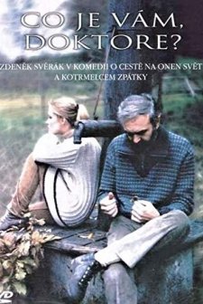 Co Je Vám, Doktore?
