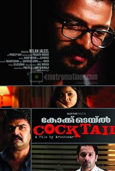 Cocktail (2010) afişi