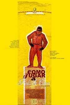 Como Jugar A Polis Y Cacos (2005) afişi