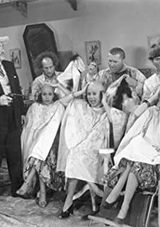 Cookoo Cavaliers (1940) afişi