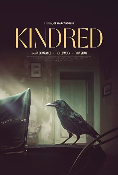 Corvidae (2020) afişi Corvidae (2020) afişi